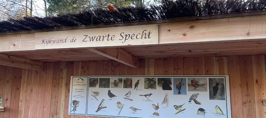 Rolstoeltoegankelijke vogelkijkwand in Doezelbos